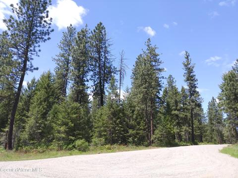340 Everett Huff Road, Oldtown, ID 83822 photo 8