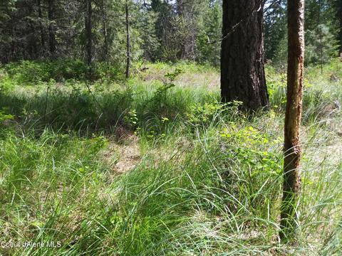 340 Everett Huff Road, Oldtown, ID 83822 photo 14