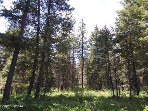 340 Everett Huff Road, Oldtown, ID 83822 photo 5