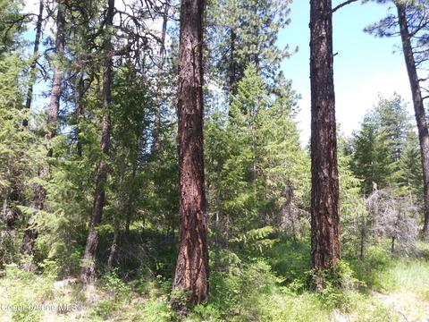 340 Everett Huff Road, Oldtown, ID 83822 photo 16