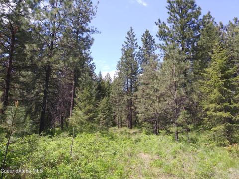 340 Everett Huff Road, Oldtown, ID 83822 photo 11