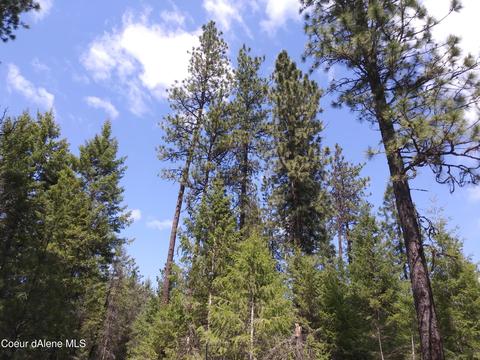 340 Everett Huff Road, Oldtown, ID 83822 photo 21