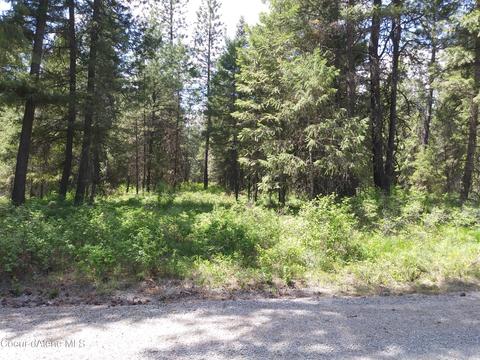 340 Everett Huff Road, Oldtown, ID 83822 photo 3