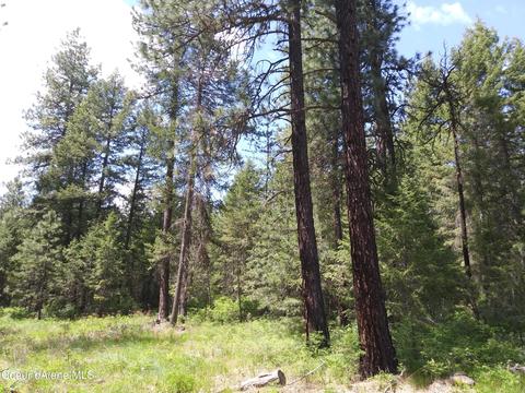 340 Everett Huff Road, Oldtown, ID 83822 photo 9