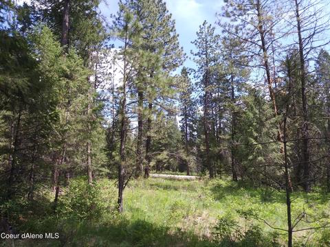 340 Everett Huff Road, Oldtown, ID 83822 photo 10