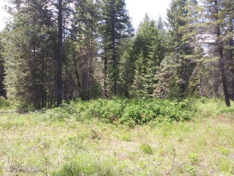 340 Everett Huff Road, Oldtown, ID 83822 photo 13