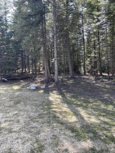 8737 E Howard Rd, Athol, ID 83801 photo 18