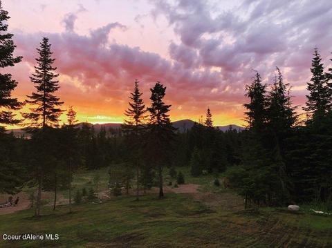 10567 E Sims Ln, Athol, ID 83801 photo 44