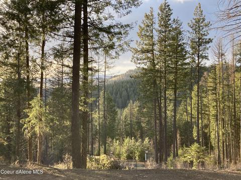 4324 Fairfield Rd, Plummer, ID 83851 photo 4