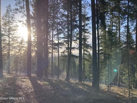 4324 Fairfield Rd, Plummer, ID 83851 photo 2