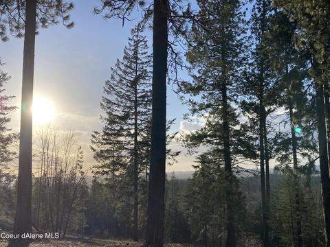 4324 Fairfield Rd, Plummer, ID 83851 photo 3