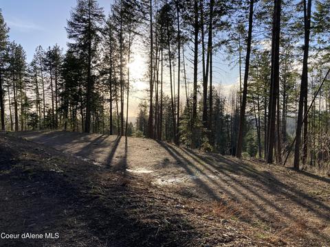 4324 Fairfield Rd, Plummer, ID 83851 photo 19