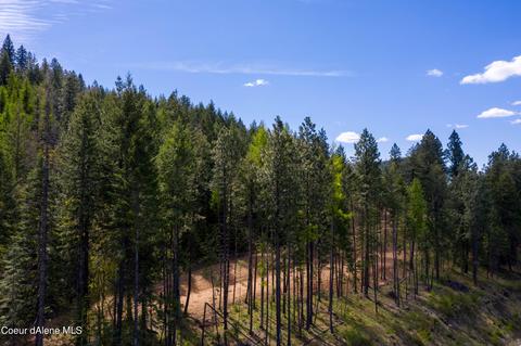4324 Fairfield Rd, Plummer, ID 83851 photo 16