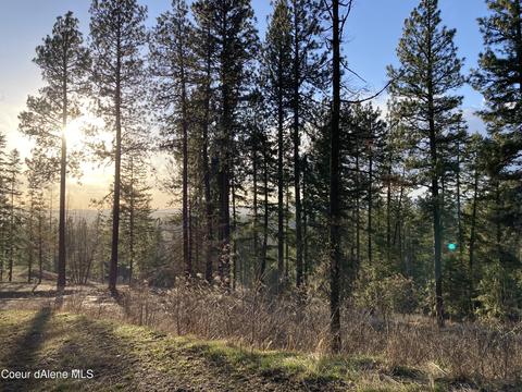 4324 Fairfield Rd, Plummer, ID 83851 photo 1