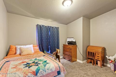 952 E Remington Rd, Athol, ID 83801 photo 11