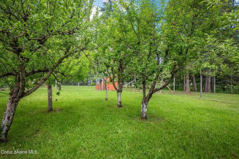 232 W River Dr, Clark Fork, ID 83811 photo 50