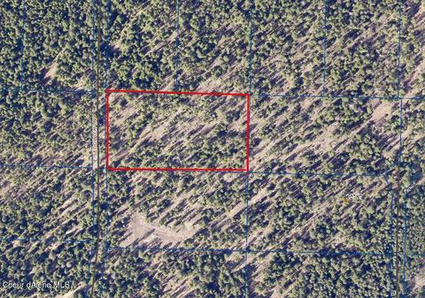 11627 E Sedgwick Ln, Athol, ID 83801 photo 4