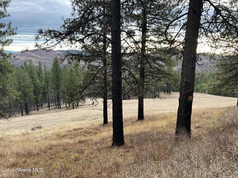 1163 Hidden Valley Ln, Weippe, ID 83553 photo 28