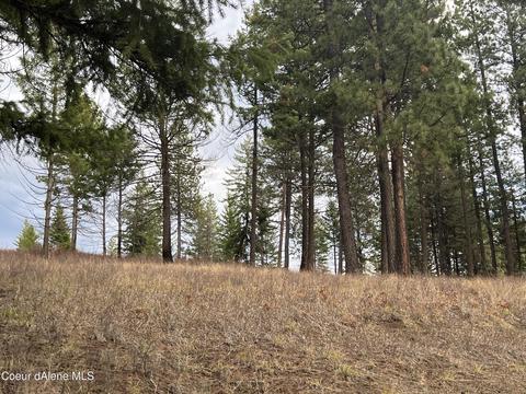 1163 Hidden Valley Ln, Weippe, ID 83553 photo 38