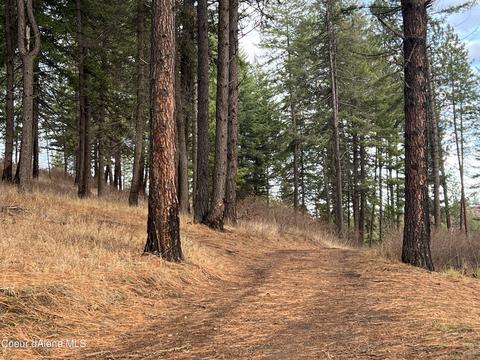 1163 Hidden Valley Ln, Weippe, ID 83553 photo 35