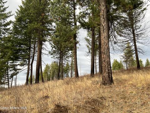 1163 Hidden Valley Ln, Weippe, ID 83553 photo 37