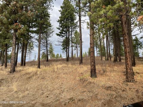 1163 Hidden Valley Ln, Weippe, ID 83553 photo 34