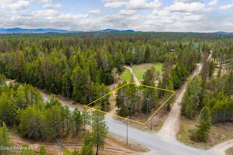 774 Hoo Doo Loop, Oldtown, ID 83822 photo 1