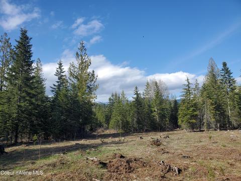 257 Cabinet Gorge Rd, Clark Fork, ID 83811 photo 7