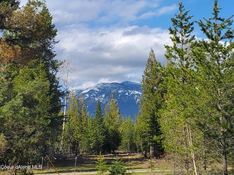 257 Cabinet Gorge Rd, Clark Fork, ID 83811 photo 3