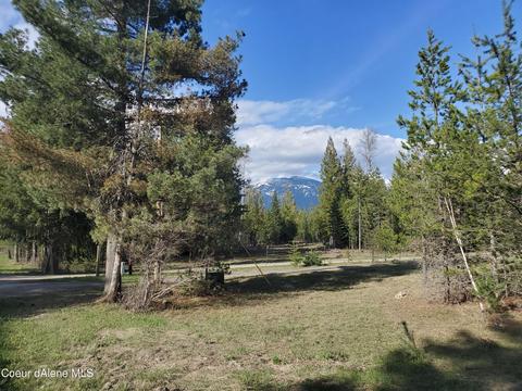 257 Cabinet Gorge Rd, Clark Fork, ID 83811 photo 4