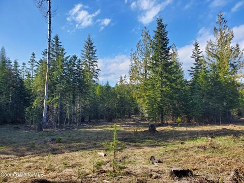 257 Cabinet Gorge Rd, Clark Fork, ID 83811 photo 9
