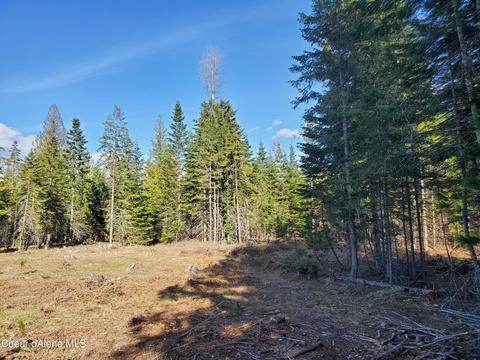 257 Cabinet Gorge Rd, Clark Fork, ID 83811 photo 8