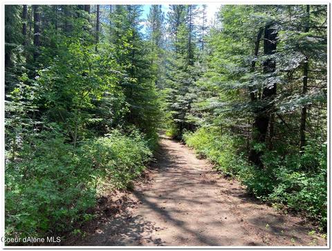 875 Wilderness Rd, Naples, ID 83847 photo 14