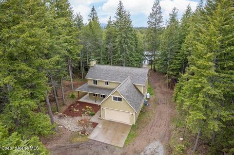 10086 E Snowy Ln, Athol, ID 83801 photo 3