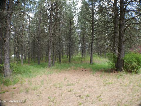 340 P St, Plummer, ID 83851 photo 39
