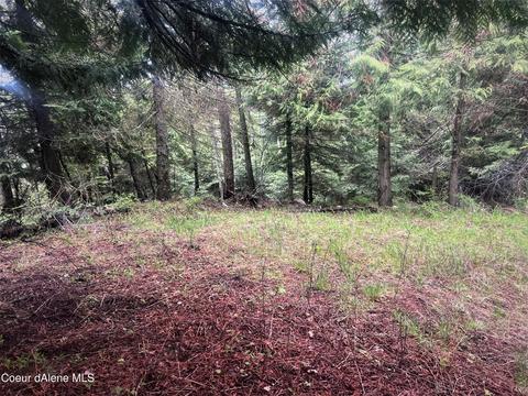468 Hillcrest Dr, Sagle, ID 83860 photo 13