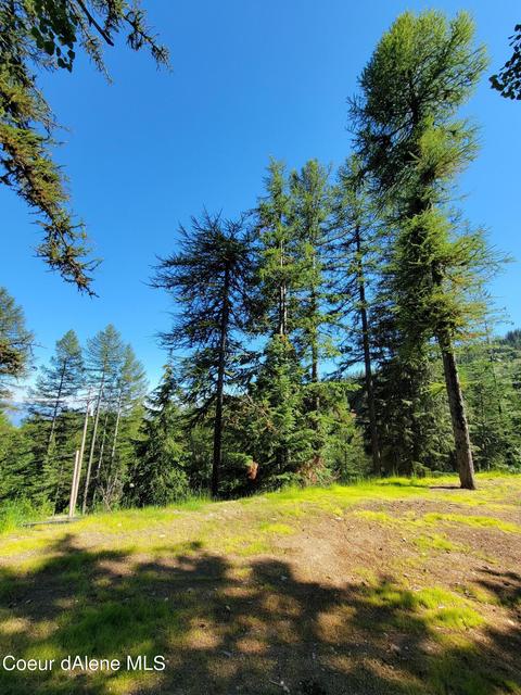 91 Parallel Run, Sandpoint, ID 83864 photo 7