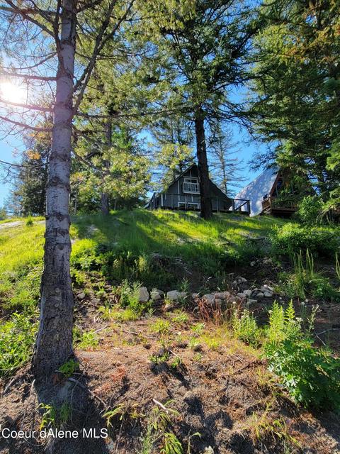 91 Parallel Run, Sandpoint, ID 83864 photo 11