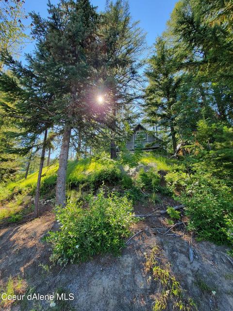 91 Parallel Run, Sandpoint, ID 83864 photo 10