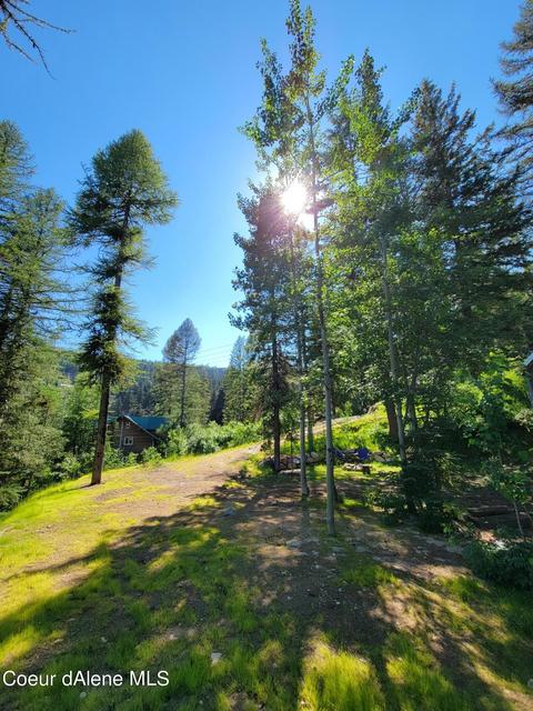 91 Parallel Run, Sandpoint, ID 83864 photo 8