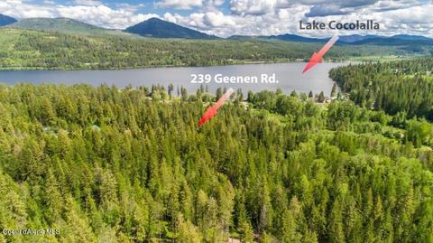 239 Geenen Rd, Cocolalla, ID 83813 photo 60