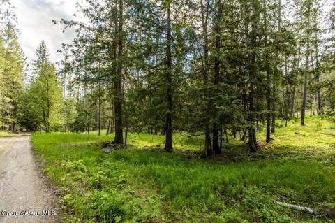 239 Geenen Rd, Cocolalla, ID 83813 photo 44