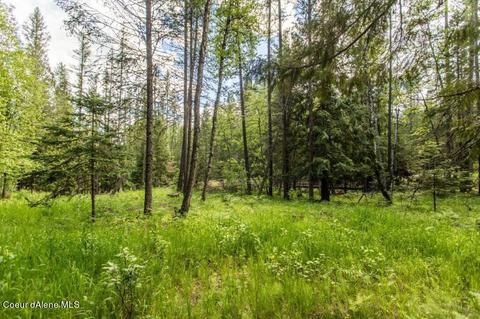 239 Geenen Rd, Cocolalla, ID 83813 photo 45