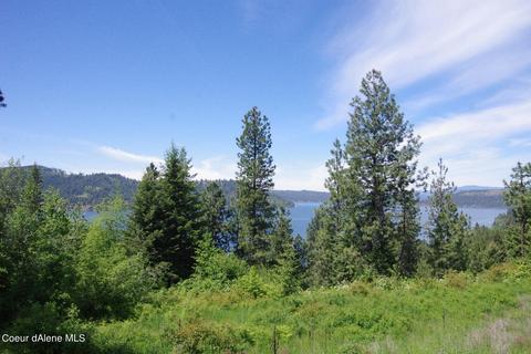Lt 13 Blk2 Empty Nest Ln, Harrison, ID 83833