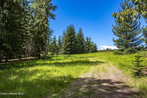 391 Fox Glen Rd, Sandpoint, ID 83864 photo 28