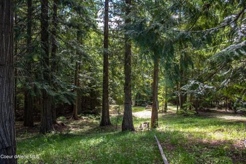 391 Fox Glen Rd, Sandpoint, ID 83864 photo 27