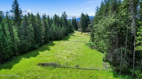 10217 E Highway 54, Athol, ID 83801 photo 51