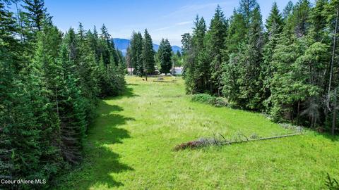 10217 E Highway 54, Athol, ID 83801 photo 50
