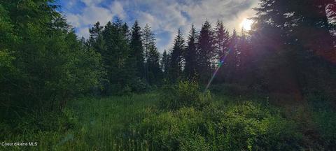 7100 E Arthur Rd, Athol, ID 83801 photo 6