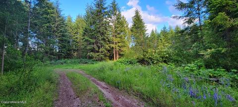 7100 E Arthur Rd, Athol, ID 83801 photo 4